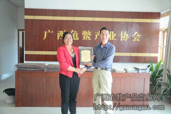 尹炳坤会长给林桂艳颁发副会长牌匾