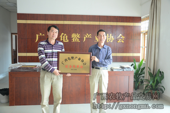 尹炳坤会长给谢光华颁发副会长牌匾