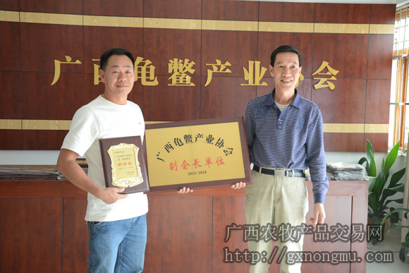 尹炳坤给凌耀所颁发副会长牌匾