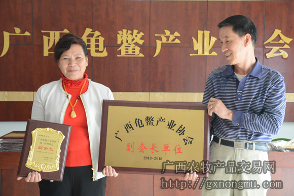 杨美凤总经理接受副会长牌匾