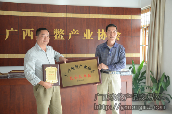 蒋洪峰接受副会长牌匾