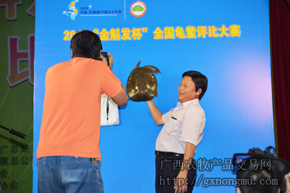 龟鳖评比大赛现场